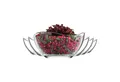 LAV Dessertschale Vira Glasschalen - 310 ml (10 1/2 oz), 6er Set, Glas, (6er-Set, 6-tlg), Geschwungene Form, ideal für Desserts, Snacks, Dips