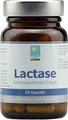 LACTASE KAPSELN 60 St