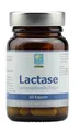 LACTASE Kapseln 60 St