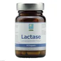 LACTASE KAPSELN 60 St