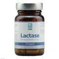 LACTASE KAPSELN 60 St