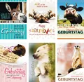 100 Glückwunschkarten zum Geburtstag Tiere 51-5402 Geburtstagskarte Grußkarte