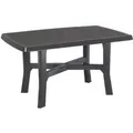 Progarden Gartentisch Rodano Rechteckig Kunststoff Anthrazit 88 cm x 138 cm