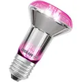 OSRAM Pflanzenlampe Star Grow Spot, mit LED, Vollspektrum, für E27-Fassungen, 140 Lumen, 7,5 Watt, 10 x 6,6 cm