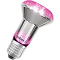 Osram LED Star Grow R63 Glas Reflektor 7,5W = 15W E27 klar 140lm Pflanzenlampe