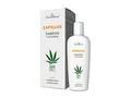CANNADERM Capillus Koffein-Shampoo gegen Haarausfall 150ml