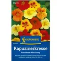 Kiepenkerl Kapuzinerkresse Rankende Mischung Mehrfarbig