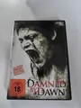 💽Damned by Dawn💽 - DVD - Uncut - FSK 18 Guter Zustand 👌🏻