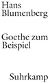 Goethe zum Beispiel | Hans Blumenberg | Deutsch | Taschenbuch | 245 S. | 2014