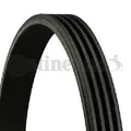 Original CONTINENTAL CTAM Keilrippenriemen 4PK1028 für Citroën Honda Nissan