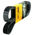 CONTITECH 4PK1028 Keilrippenriemen für AX ACCORD FR-V PRELUDE STREAM 300ZX