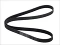 CONTITECH Keilrippenriemen 4 PK 1028 für CITROEN AX; HONDA ACCORD, PRELUDE