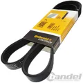 CONTINENTAL KEILRIPPENRIEMEN 4PK1028 für CITROËN AX HONDA ACCORD FR-V PRELUDE