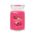 Aromatic candle Signature large glass Red Raspberry 567 g