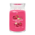 YANKEE CANDLE Große Signature Kerze RED RASPBERRY 567 g Duftkerze