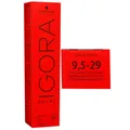 Schwarzkopf Igora Royal 60 ml 9,5-29 extra hellblond pastell lavendel Haarfarbe