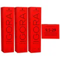 Schwarzkopf Igora Royal 3 x 60 ml 9,5-29 extra hellblond pastell lavendel Haarfa