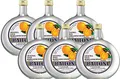 6 Flaschen Bailoni Marillenschnaps a 0,7L Schnaps Marille 40% Vol.