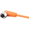 ifm Electronic EVT066 Anschlussleitung Buchse, gewinkelt 40 m Polzahl Sensoren: 5 1 St.