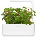 Click and Grow Smart Garden 3 (13.50 x 31.50 x 23 cm) (4742793007205)
