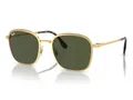 Sonnenbrille Ray-Ban Arista Green RB3720 001/31