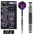 🎯 ✅ WINMAU Soft Dart Pfeile Softdarts Dartpfeile E-Darts Kairos  2489 20 gr.