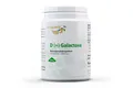 Vita World D(+)Galactose 250g vegetarisch ohne Gentechnik