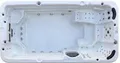 PureHaven Swim Spa 580x230x135 cm für bis zu 8 Personen UV-Wasseraufbereitung Doppelfilter-System verstellbarer Wasserfall 4800 L