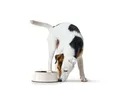 Hunter 92091 Bowl Melamine 1400 ml 1400 ml White