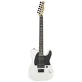 Fender Jim Root Telecaster Flat White E Gitarre