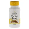 Wild Yam Extrakt Kapseln 60 g
