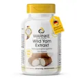 Wild Yams Extrakt Kapseln - 100 Kapseln - schluckfreundlich - Plus Vitamin C & E, Beta-Carotin, Zink & Selen - hochdosiert & vegan - 20% Diosgenin | Warnke Vitalstoffe - Deutsche Apothekenqualität