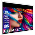 ESMART Beamer-Leinwand Professional MIROLO, 138 Zoll, 280 x 210 cm, Format 4:3, Rolloleinwand