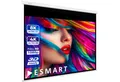 ESMART ESMART Germany Rollo Leinwand Rolloleinwand (Professional MIROLO)