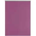 LICHTBLICK Thermo-Rollo Klemmfi, Fuchsia, 65x150 cm
