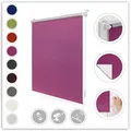 Seitenzugrollo Klemmfix Hitzeschutz, LICHTBLICK ORIGINAL, verdunkelnd, ohne Bohren, freihängend, Klemmfix, mit Thermobeschichtung rosa 65 cm x 150 cm