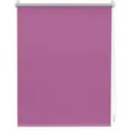 Lichtblick Original Thermo-Rollo, Pink, Kunststoff, 65x150 cm, Wohntextilien, Rollos & Jalousien, Rollos, Verdunkelungsrollos