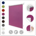 Lichtblick Original Seitenzugrollo "Klemmfix Hitzeschutz" Gr. 12, pink (fuchsia, fuchsia), 150cm, 65cm