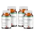 Blasenflora Kapseln - Probiotika bei bakterieller Vaginosis - Blasenentzündung (Harnwegsinfektion) - Gyno-biotic *Apotheken Qualität seit 25 Jahren* (4x 60 Kapseln)