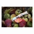 Opinel Kastaninenmesser Küchenmesser No.7 12C27M Stahl Kastanienholz Virobloc
