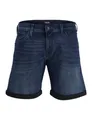 JACK & JONES Jjirick Jjfox Shorts Cb 310 Sn