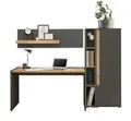 Furn.Design Büromöbel Set in grau matt und Wotan Eiche Holz modern mit Schreibtisch, Aktenschrank, Wandregal, Standregal für Homeoffice und Büro Schreibtisch mit Stauraum Center (Set 2)