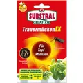 Substral Celaflor TrauermückenEx 4 x 7,5 ml