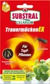 Substral Celaflor TrauermückenEX, 4 x 7,5 ml Konzentrag, gegen Larven der Trauermücke und andere Schädlinge und Schadinsekten