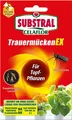Substral Celaflor Trauermücken EX 4x7,5ml saugenden Insekten Kartoffelkäfer
