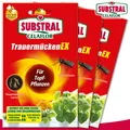 Substral Celaflor 3 Pack 4 x 7,5 ml TrauermückenEX