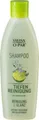 Swiss-O-Par TIEFEN REINIGUNG SHAMPOO Reinigung & Glanz für jedes Haar 250ml