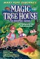 Afternoon on the Amazon Graphic Novel (Magic Tree House, Band 6)