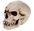 Vogler Dekofigur Replik Orc Schädel Markus Mayer Totenkopf Skull Gothic Totenschädel