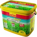 Rasen-Lanzeitdünger LE 300 Premium 6kg